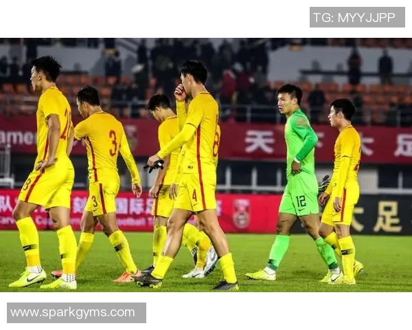 足球明星齐心协力拯救地球共同守护我们的家园与未来