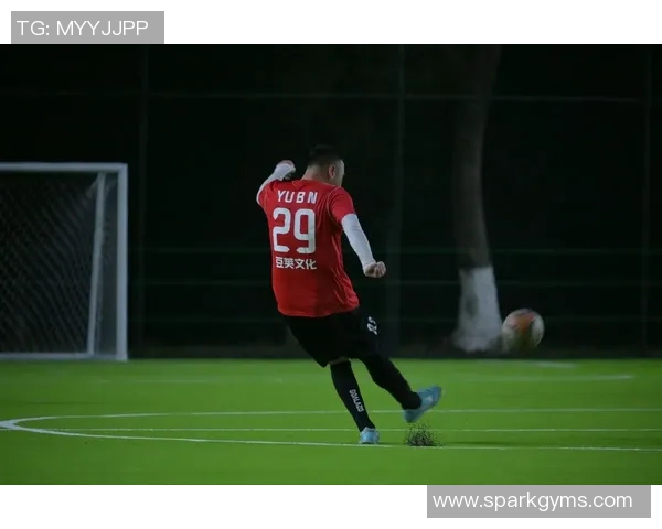 足球明星的猫咪也来踢球了它们的精彩瞬间让人忍俊不禁 足球明星的猫咪也来踢球了它们的精彩瞬间让人忍俊不禁