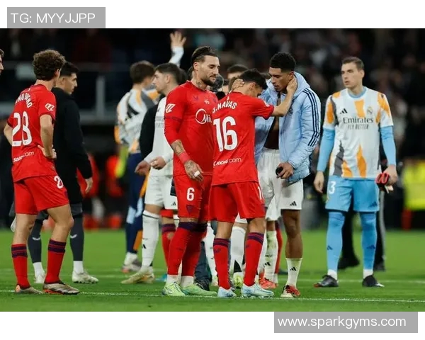 各大足球明星回头看职业生涯的辉煌与遗憾瞬间