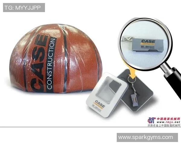 篮球明星问卷调查：探索他们的职业生涯与个人生活的深度分析